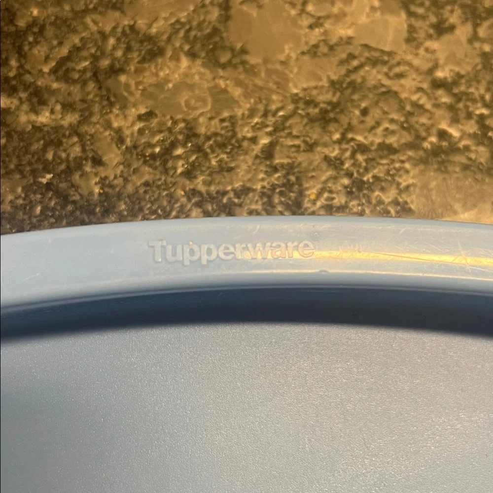 Tupperware Blue Impressions Oval Serving Tray. Looks to be new 17.5”